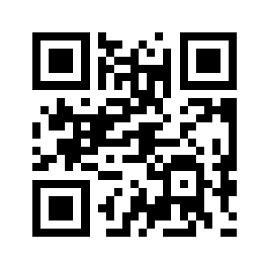 Vridge.biz QR code