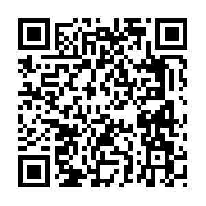 Vulcan-ant-removal-whitefly-pest-control.com QR code