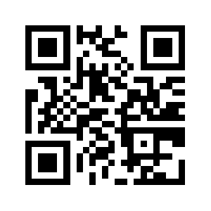 Vvizie.com QR code