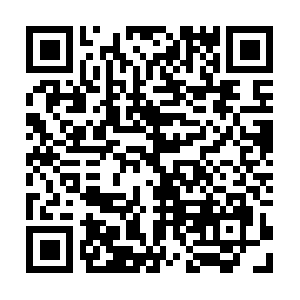 Wangshangyulezhucesongcaijin757.com QR code