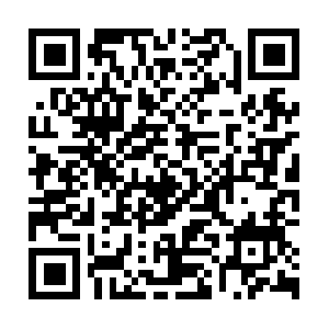 Warrennewconstructionhomesforsale.net QR code