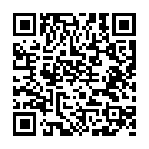 Wavve-platform-img-verizon-cdn.azureedge.net QR code