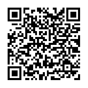 Wbequipment-hydraulic-jack-callibrations.com QR code