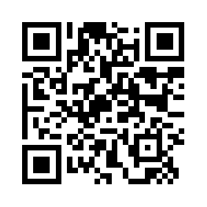 Webcamgrosseins.com QR code