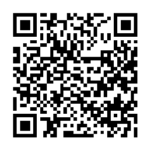 Webcast100-wbnormal-lq.toutiaoapi.com QR code