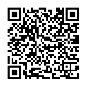 Webinvestmentanddevelopmentcompany.com QR code