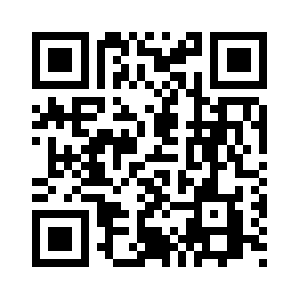 Webkiosksolutions.com QR code