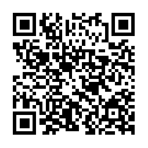 Webseitenerstellung-brandenburg.com QR code