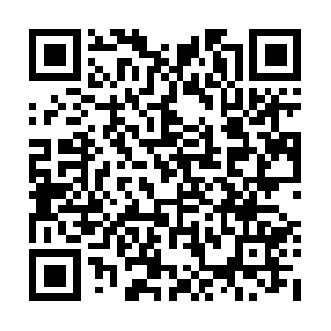 Websocket.dg.toyota.com.c.section.io QR code