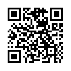 Websterwindows.com QR code