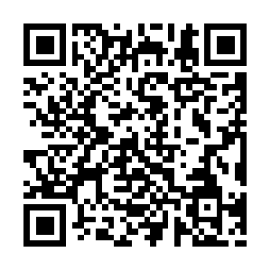 Wee16r5e16t16rty16rv1fd6f1w6ef1qw7.info QR code