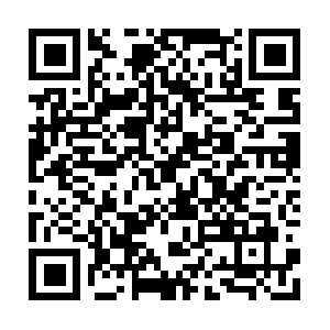 Welcomehomeboardingandtransport.com QR code