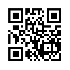 Well-link.biz QR code