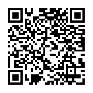 Wellbeingresilientdietessentials.com QR code