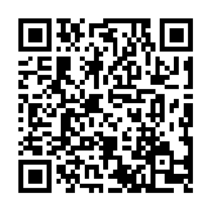 Wellbeingresilientmuscleessentials.com QR code