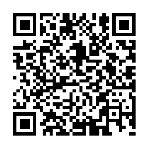 Wellenhancementservicesindonesia.com QR code