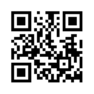 Wellsson.com QR code