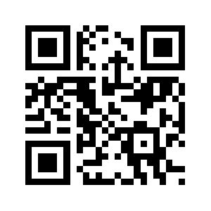 Weltyins.com QR code