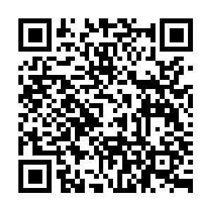 Weserveddfwintegritycontractors.com QR code