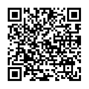 Wesleychapelnewbornphotographer.com QR code