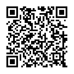 Whatcan20millionbuyyouinthebahamas.com QR code