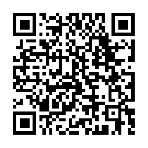 Whitecloudmarketingdistribution.com QR code