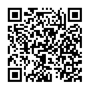 Whyvietnampreludetoamericasalbatross.com QR code