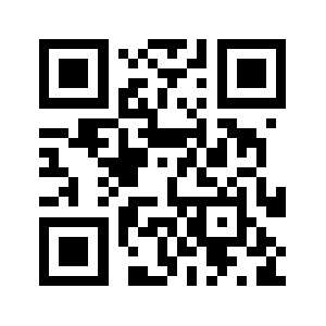 Widebodyz.com QR code