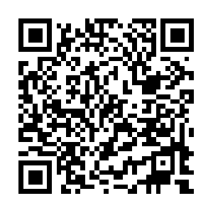 Windshieldreplacementbalchspringstx.info QR code