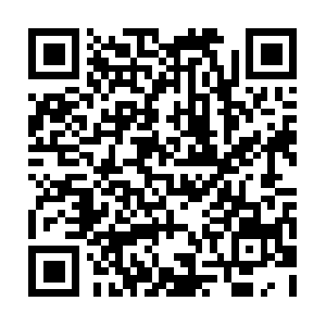 Wix-engage-visitors-prod-23.firebaseio.com QR code