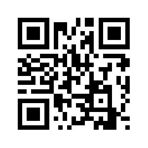 Wm193.com QR code