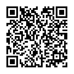 Wonderful-facts-tograsppushing-forth.info QR code