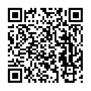 Wonderful-factstocarrydriving-forth.info QR code