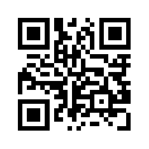 Workrarebil.tk QR code