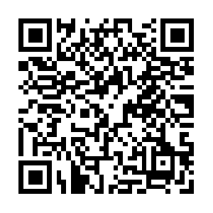 Worldclassvinylvencedistributors.com QR code