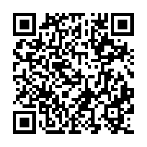 Worldsocietyprotectionofanimals.com QR code