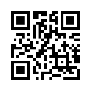 Wristblitz.net QR code