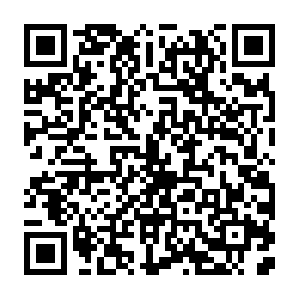 Ws-001c8954-65af-4c59-93ba-e0ec8710130f.sendbird.com QR code