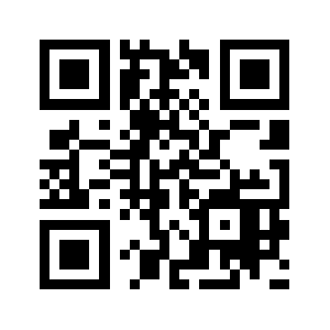 Wtfis9.com QR code