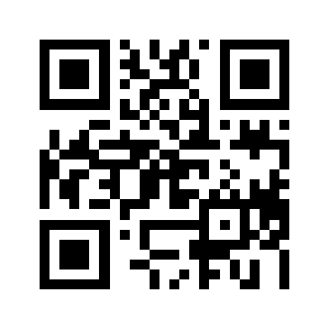 Wtfpixels.com QR code