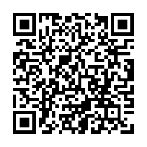 Www-metrojambi-com.cdn.ampproject.org QR code