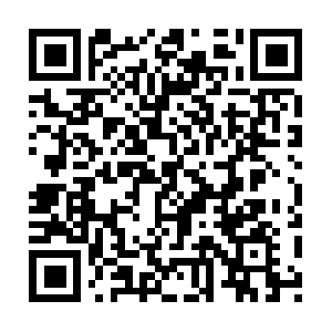 Www-niagahoster-co-id.cdn.ampproject.org QR code