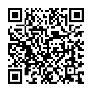 Www-teslarati-com.cdn.ampproject.org QR code