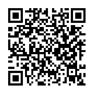 Www.bing.com.www.huaweimobilewifi.com QR code