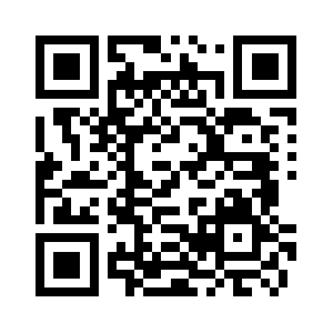 Www.danflyingsolo.com QR code