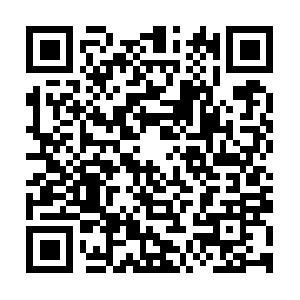 Www.demo.phpmyadmin.murraybridgestorage.com QR code