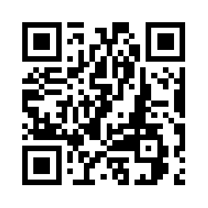 Www.enginy-pro.cat QR code