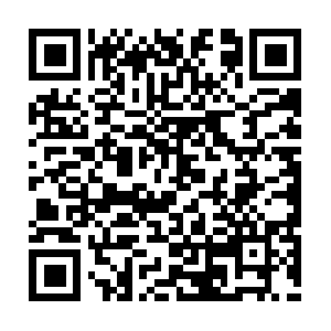 Www.service.transport.glb.citec.com.au QR code