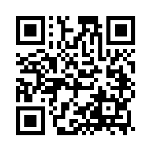 Www.spinfusion.com QR code