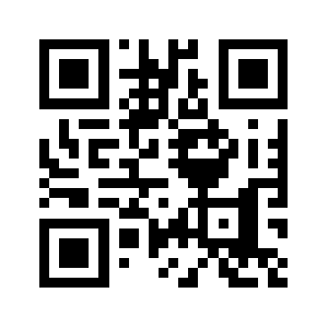 Www538t.com QR code